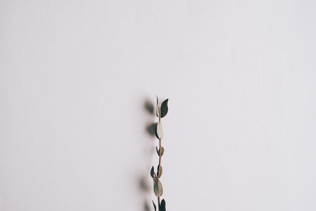 Vintage da flor do fundo para o cartão de casamento.