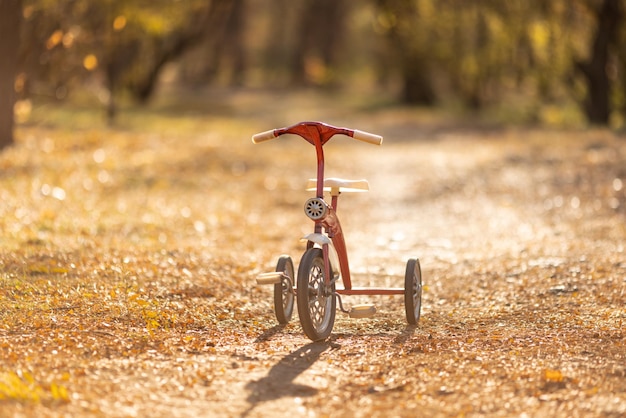 Vintage Fahrrad im Freien im Herbstpark