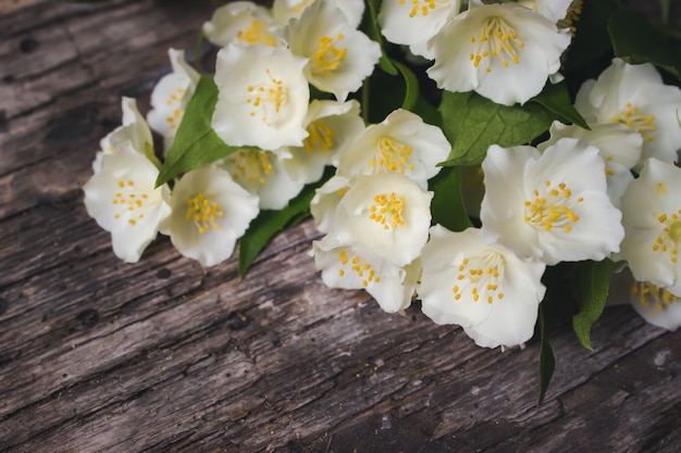 Vintage-farbton - konzeptblume des frühlings- oder sommerhintergrundes. kartenkonzept, pastellfarben