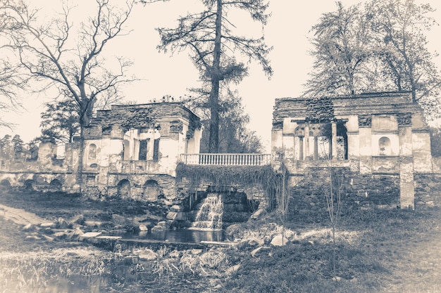 Vintage-Fotopark mit antiken Ruinen und einem Baum