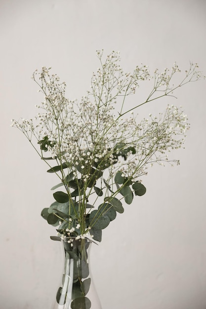 Vintage-Herbarium Zusammensetzung aus gepressten und getrockneten anmutigen Wiesenblumen auf grünem Papierhintergrund