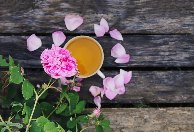 Foto vintage keramikbecher mit kräutertee auf gras und blühenden rosa rosen im sonnenlicht