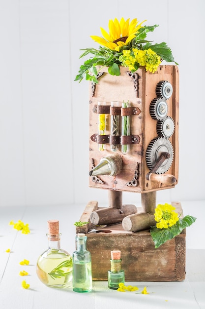 Vintage Maschine zur Herstellung von Öl mit Sonnenblumen und Samen