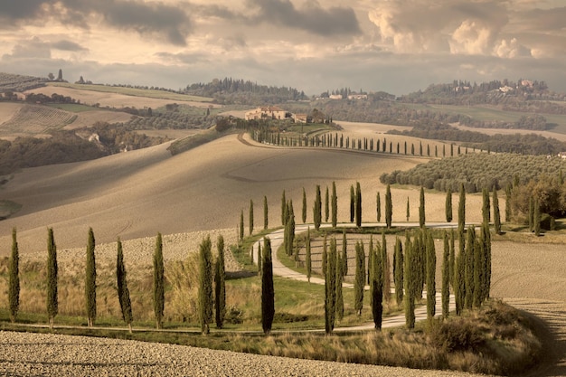 Vintage Paisagem de colinas estrada rural ciprestes árvores e casas rurais Toscana natureza Itália Europa