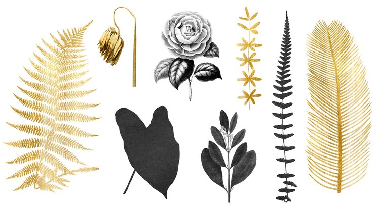 Foto vintage png folha flor botânica ouro preto adesivo conjunto