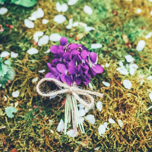 Vintage ramo de flores del bosque de violetas en el fondo de musgo, vista superior