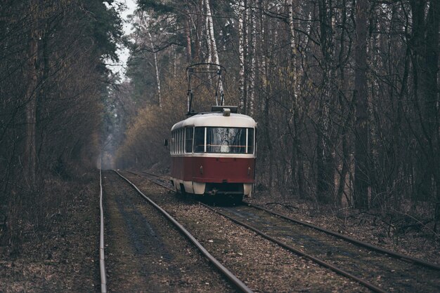 Vintage rote Straßenbahn läuft durch den Wald Teil der Stadt Herbst Hintergrund im Park in Kiew, Ukraine