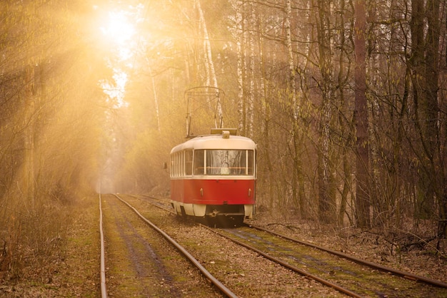 Vintage rote Straßenbahn läuft durch den Wald Teil der Stadt Herbst Hintergrund im Park in Kiew, Ukraine