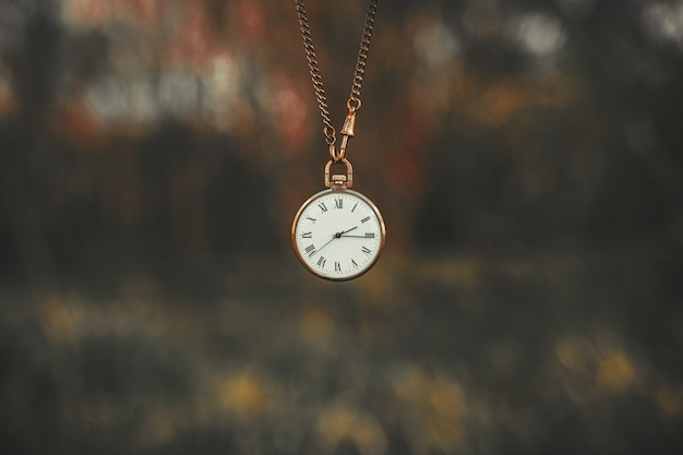 Vintage Taschenuhr an einer Kette im Wald