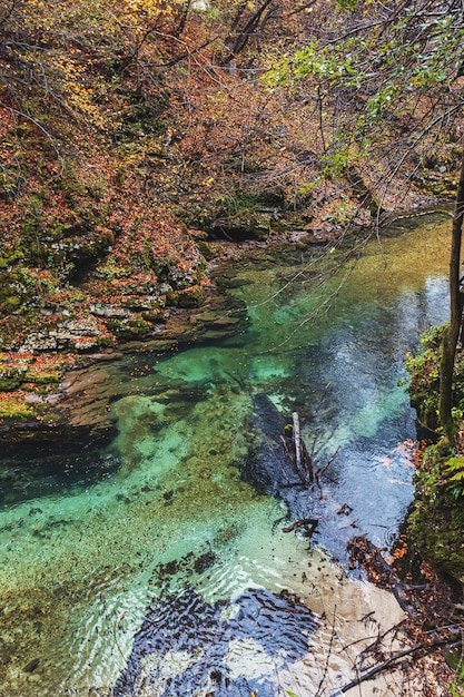 Vintgar-Schlucht in Slowenien mit türkisfarbenem Flusswasser in der Herbstsaison