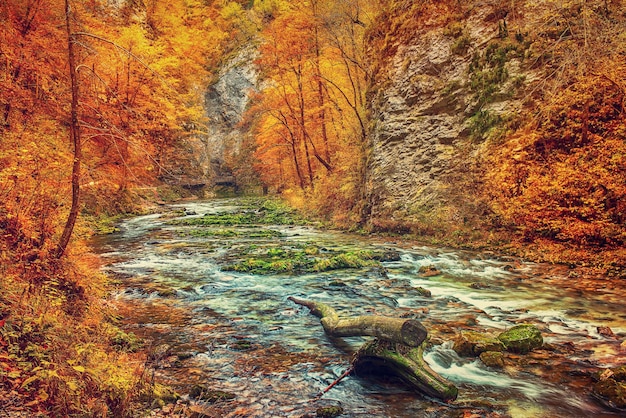 Vintgarklamm Slowenien