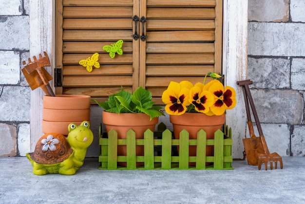 Viola Cornuta flor amarilla en una olla Bodegón de jardín Jardinería de estilo campestre