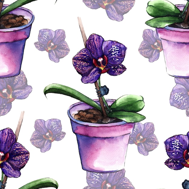 Violeta phalaenopsis orquídea flor textura de patrones sin fisuras