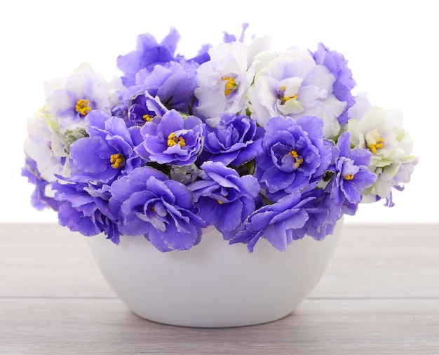 Violetas lindas flores