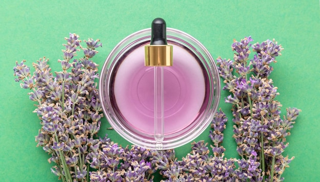 Violette Lavendelölflüssigkeit mit frischen Lavendelblüten der Pipette auf grünem Farbhintergrund. Natürliche Pflegeprodukte für die Körperhaut und Haare. Aromatherapie, Spa-Behandlung. Apotheker Lavendelkraut.