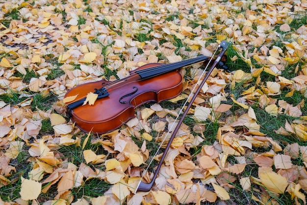 Violín en el bosque de otoño sobre hojas amarillas