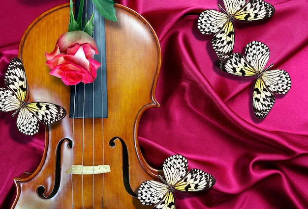 Un violín con mariposas en él y una mariposa en la parte de atrás.