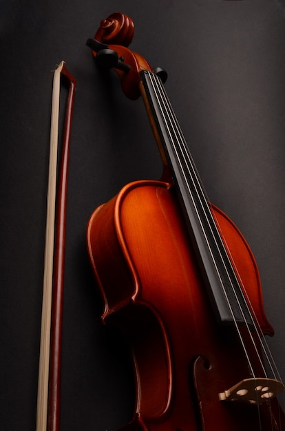 Violín en negro