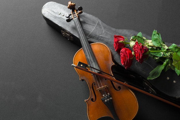 Violin y rosa