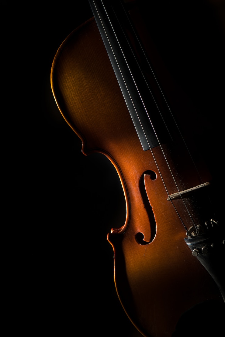 Violín sobre un fondo negro en luz oblicua en un lado