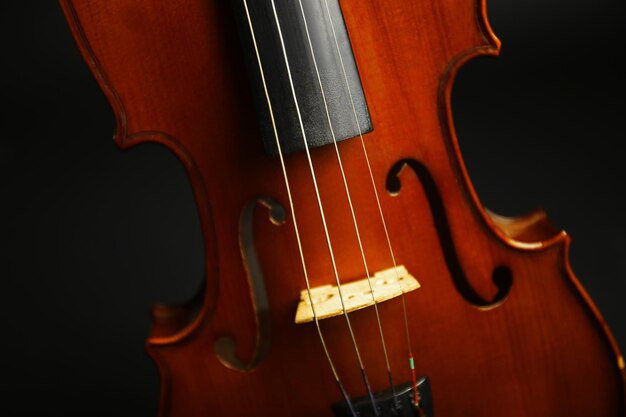 Violín sobre fondo oscuro