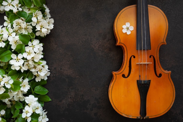 Violín viejo y ramas florecientes del manzano.