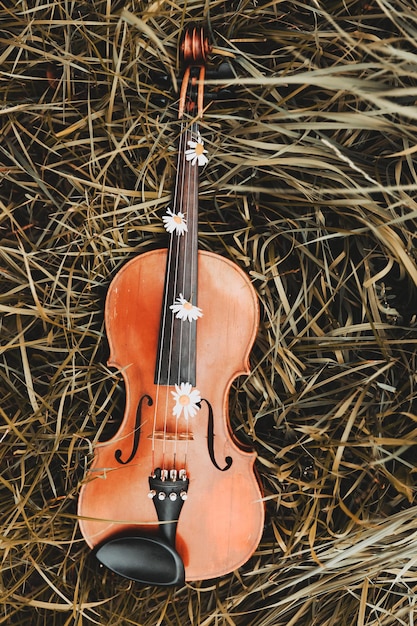 Violine liegt auf der Grasansicht von oben. Foto in hoher Qualität