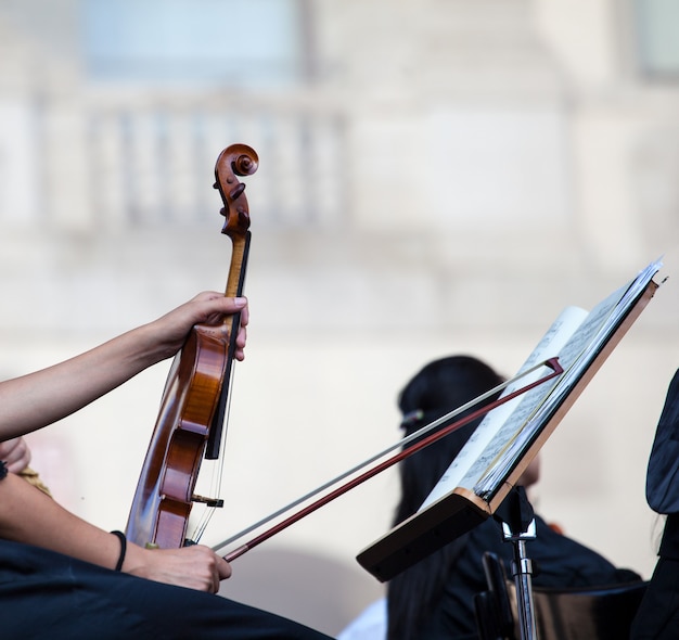 Violinist