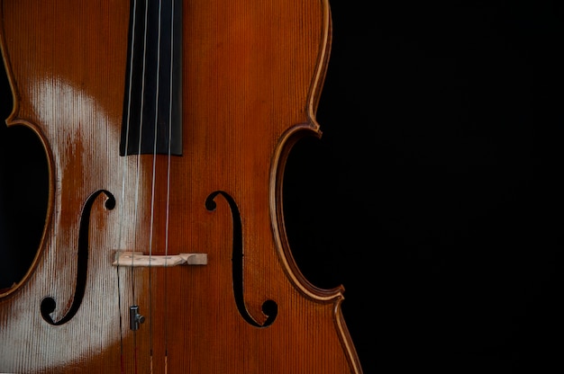 Violino de madeira com cordas de perto