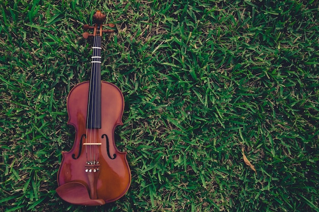 Violino deitado no fundo da grama