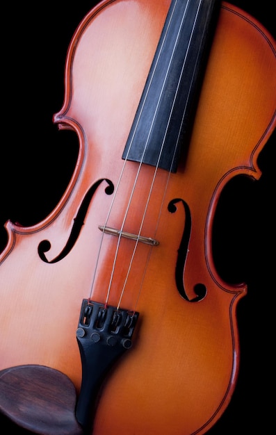 violino em fundo preto