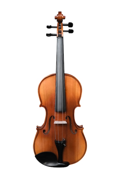 Violino isolado em branco