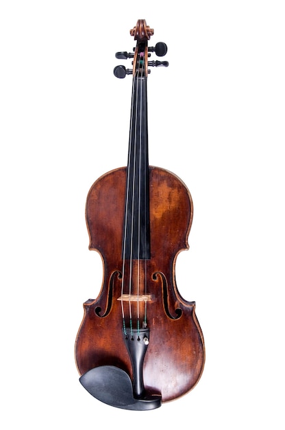 Violino profissional em fundo branco