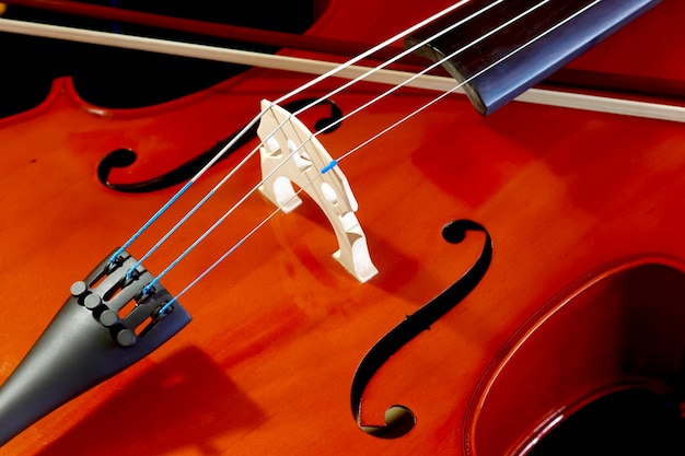 Violoncelo, close-up