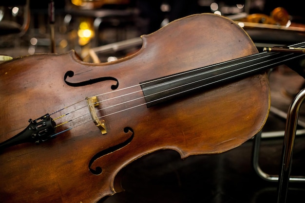 violoncelo contrabaixo no palco O magnífico contrabaixo Grande plano do contrabaixo no palco