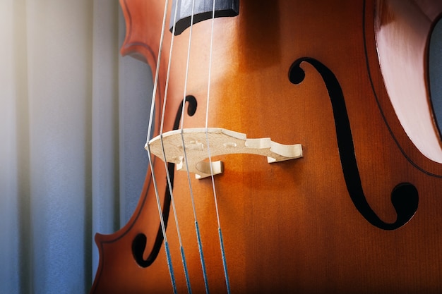 Foto violoncelo ou violino música clássica