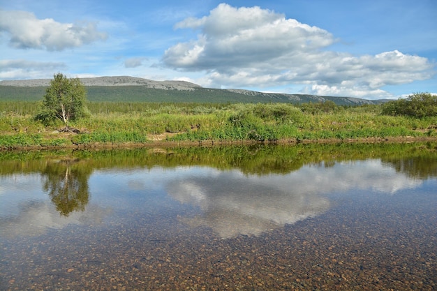 Virgen Komi bosques el río Shchugor