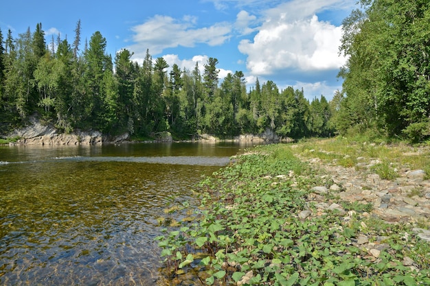 Virgin Komi bewaldet den Fluss Shchugor