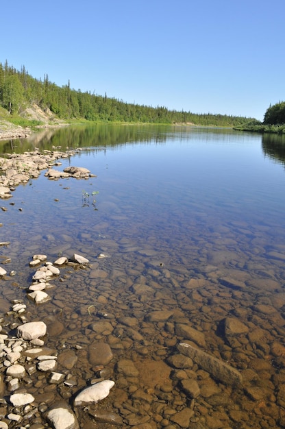 Virgin Komi florestas taiga rio Paga