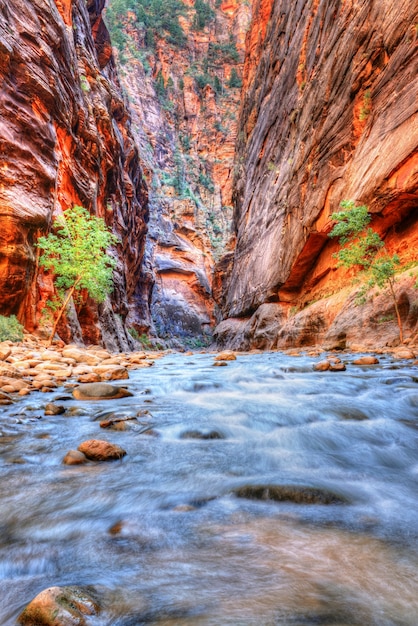 Virgin River im Zion Nationalpark, Utah, Südwesten, USA