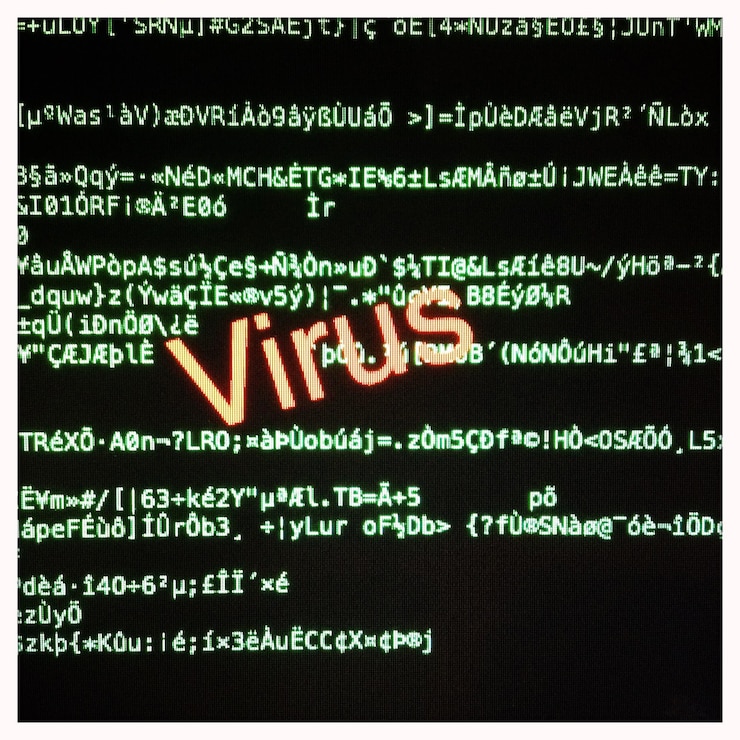 Foto virus informático