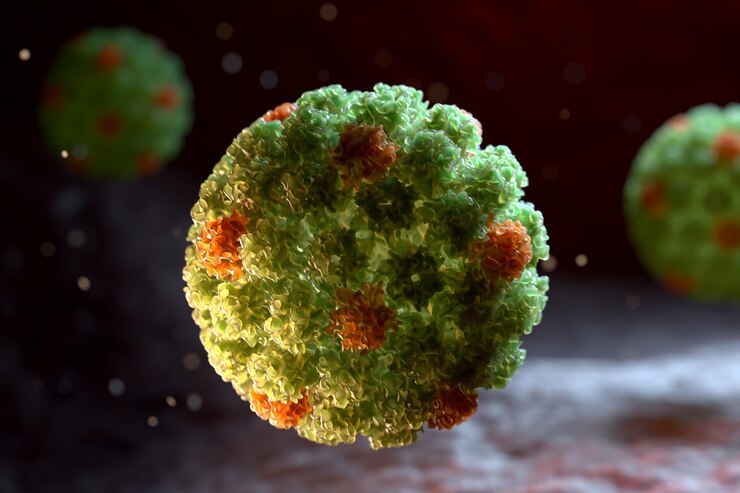 El virus del papiloma HPV