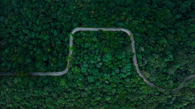 Visão aérea da estrada sinuosa do drone no vale verde, no norte da tailândia