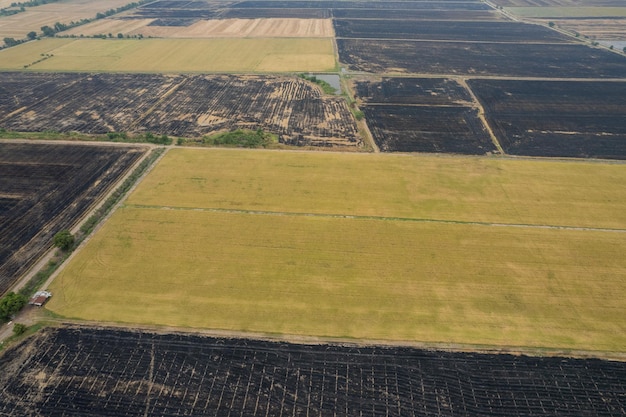 visão aérea de um drone voador de arroz de campo com paisagem padrão verde natureza fundo vista superior