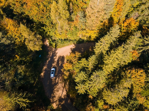 Visão aérea do carro se movendo pela estrada na floresta de outono