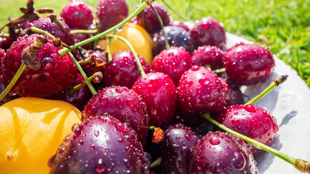 Visão aproximada da colheita de cerejas deitada na grama verde no jardim O conceito de alimentos saudáveis vitaminas agricultura mercado venda de cereja