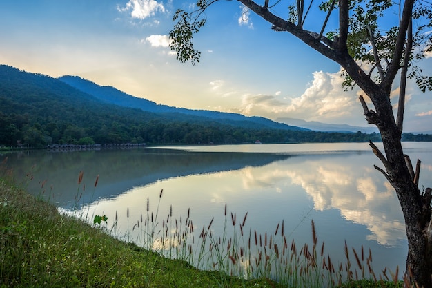 Visão cênica, de, a, reservatório, huay, Tueng, tao, com, alcance montanha, floresta, em, noite, pôr do sol