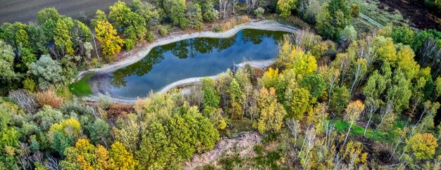 Visão de alto ângulo de árvores na floresta aerial do drone de visão do lago