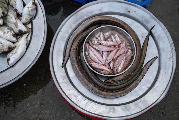 Foto visão de alto ângulo dos alimentos