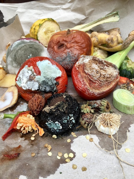 Visão de alto ângulo dos alimentos